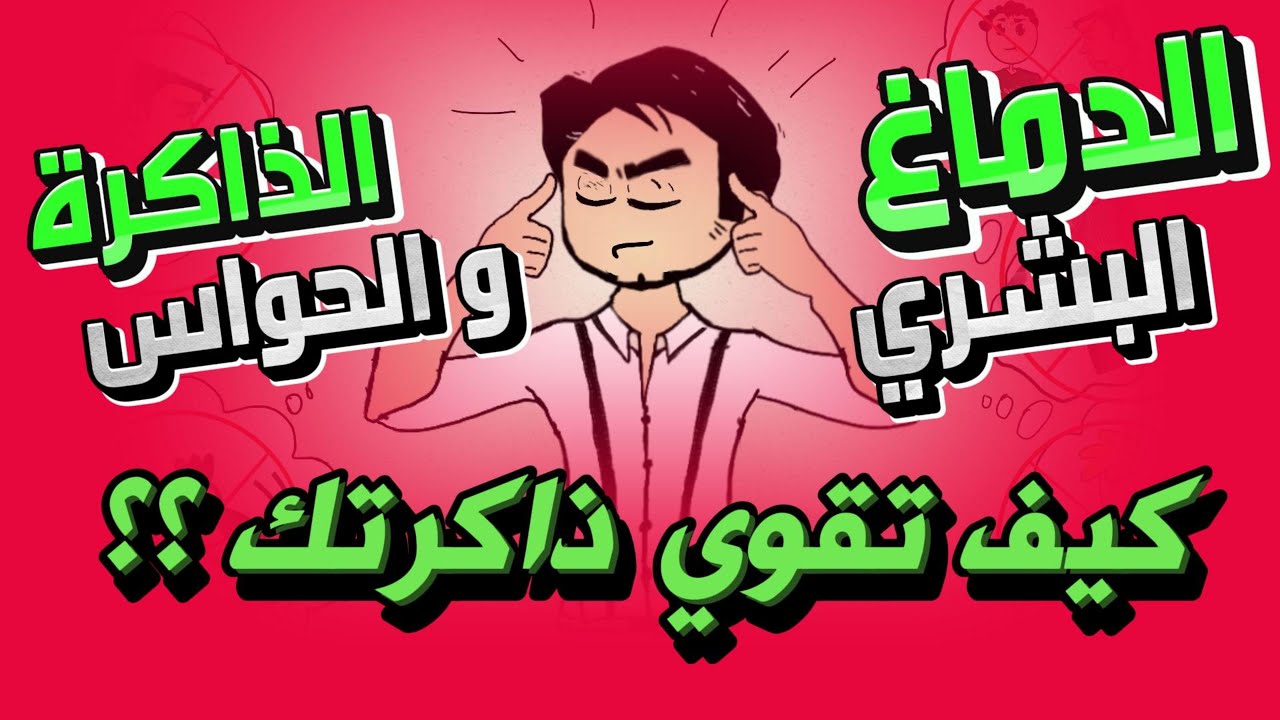 كيف تقوّي ذاكرتك – الدماغ والحواسّ وطرق التثبيت